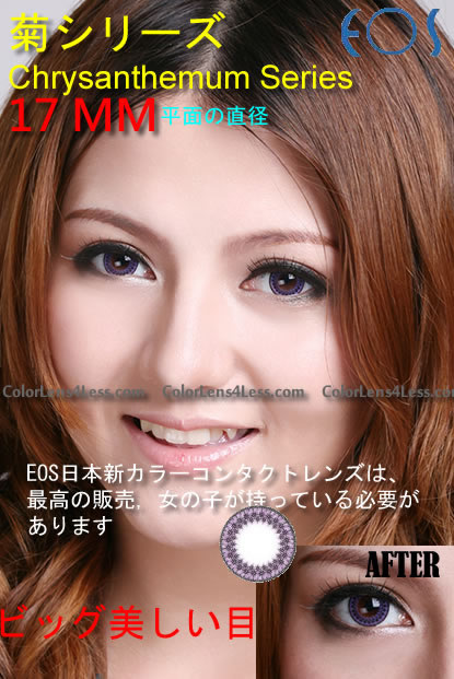 EOS Chrysanthemum Violet Colored Contacts (PAIR)